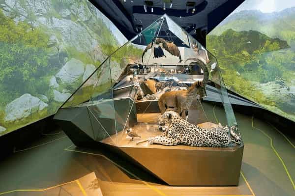 家禽飼養(yǎng)展覽展廳展館設計裝修
